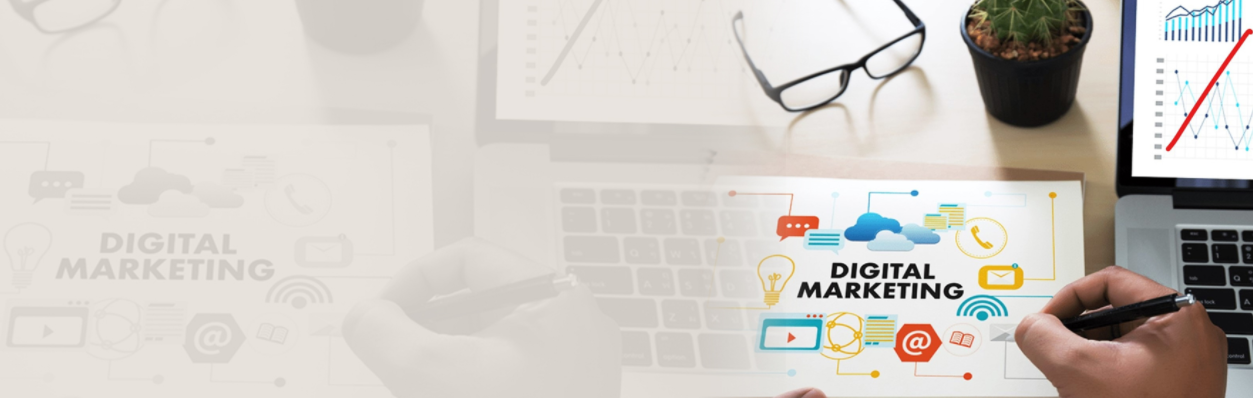 digital marketing agency Auckland 