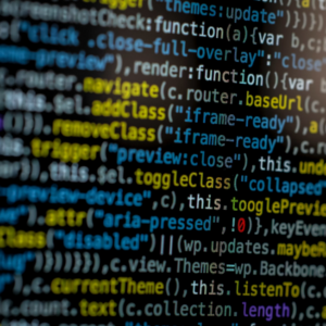 web development in Hamilton